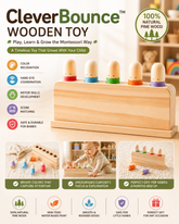 CleverBounce™ Wooden Toy